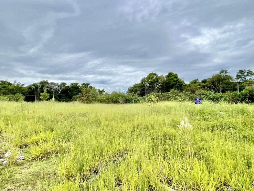 Lote - Venda - Stio Boa Vista - Cotia - SP