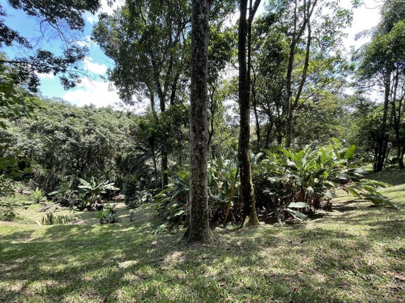 Terreno - Venda - Jardim Colibri - Cotia - SP