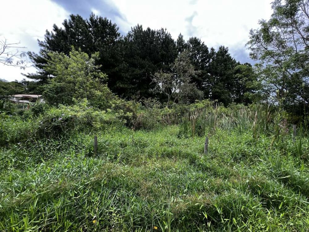 Lote - Venda - Chcara Santa Lcia - Carapicuba - SP