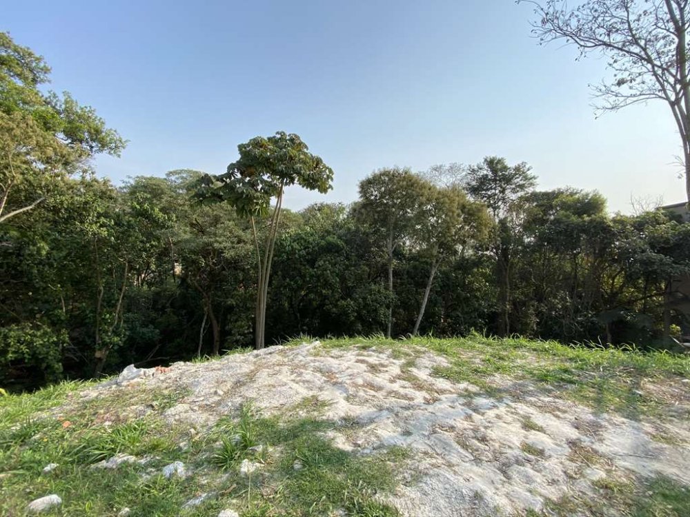 Lote - Venda - Chácara Moinho Velho - Carapicuíba - SP